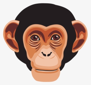 Graphic Library Library Chimpanzee Primate Gorilla - Monkey Face Clipart, HD Png Download, Free Download