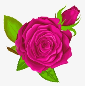 Purple Rose Png, Transparent Png, Free Download