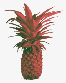 Transparent Pine Png - Pineapple, Png Download, Free Download