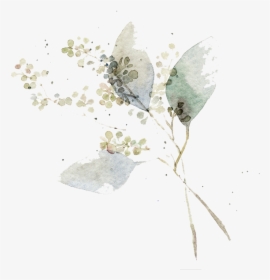 Watercolor Painting Flower Art Illustration Watercolor - Transparent White Flower Art, HD Png Download, Free Download
