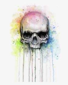 Watercolor Skull Art, HD Png Download, Free Download