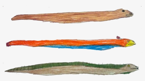 Snake - Driftwood, HD Png Download, Free Download