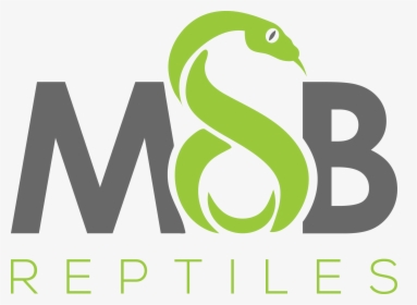 Msb Reptiles - Graphic Design, HD Png Download, Free Download