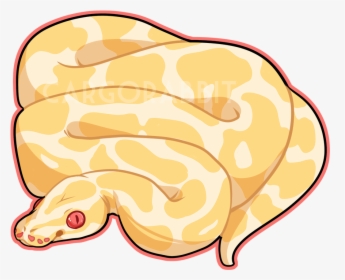 Albino Ball Python [f5] - Burmese Python Python Drawing, HD Png Download, Free Download