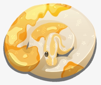 Snefbun - Ball Python Designs Logo, HD Png Download, Free Download