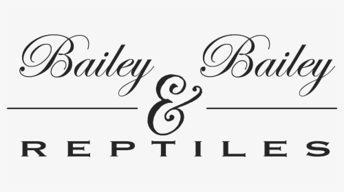 Baileys Reptiles Logo Transparent Black Large - Babe Hair Extensions, HD Png Download, Free Download