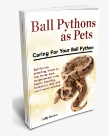 , Ball Pythons Landing, Ball Pythons As Pets - Boa Constrictor, HD Png Download, Free Download