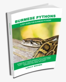 , More Books, Ball Pythons As Pets - Burmese Python, HD Png Download, Free Download