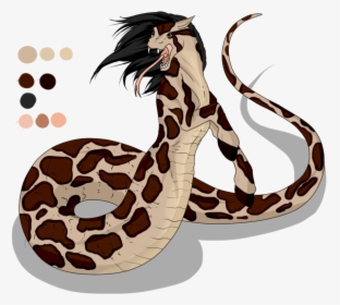 Easy To Draw Burmese Python - Burmese Python Drawing Easy, HD Png Download, Free Download