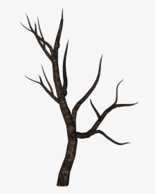 Stick Clipart Bare Branch - Tree Branch Png, Transparent Png, Free Download