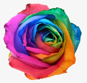 Transparent Rainbow Flower Png, Png Download, Free Download