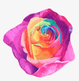 Twinkledeals - Rainbow Rose, HD Png Download, Free Download