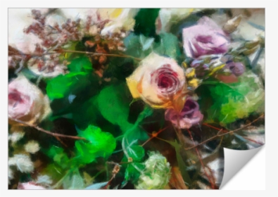 Hc0291 - Rainbow Rose, HD Png Download, Free Download