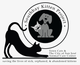 Introducing The South Bay Kitten Project - Illustration, HD Png Download, Free Download