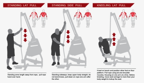 Rope Trainer Muscles Worked, HD Png Download, Free Download