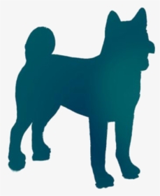 Shiba Inu Dog Clipart Transparent Background - Kishu, HD Png Download, Free Download
