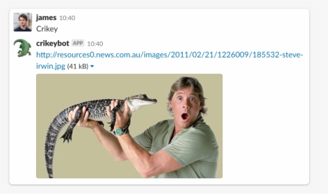 Crikey Slack Integration - Steve Irwin Transparent Background, HD Png Download, Free Download