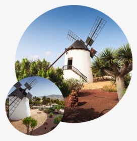 Windmill At Cactus Garden, HD Png Download, Free Download