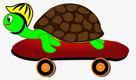 Gopher Tortoise, HD Png Download, Free Download