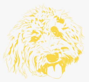 Goldendoodle Sketch Yellow - Dog Yawns, HD Png Download, Free Download