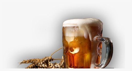 The Barley Oak - Beer And Barley Png, Transparent Png, Free Download