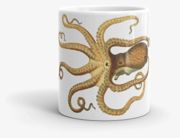 Vintage Octopus Drawing, HD Png Download, Free Download