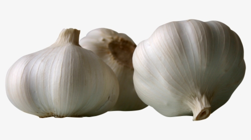 Garlics Png Image - Garlic, Transparent Png, Free Download