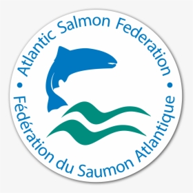 Atlantic Salmon Federation, HD Png Download, Free Download