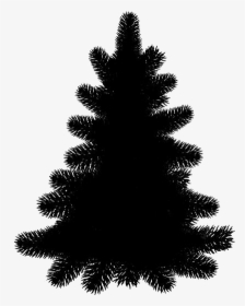 Pine Tree Png Transparent Images - Clip Art, Png Download, Free Download