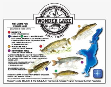 Fish-chart - Wonder Lake Il Dam, HD Png Download, Free Download