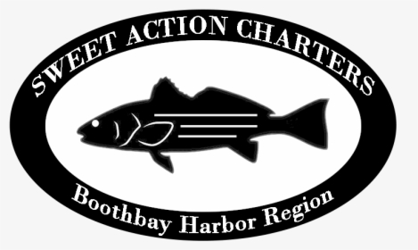 Sweet Action Charters - School, HD Png Download, Free Download