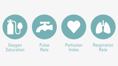 Features - Heart, HD Png Download, Free Download