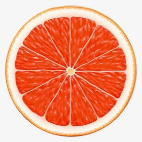 Citrus Slices Clipart , Png Download - Transparent Fruits Sticker, Png Download, Free Download