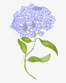 Hydrangea With Beads - Hydrangea, HD Png Download, Free Download