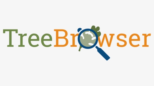 Tree Browser, HD Png Download, Free Download