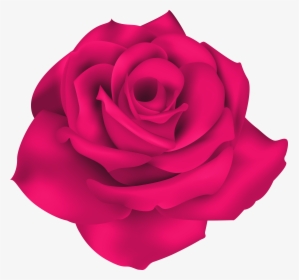 Clip Art Pink Rose Clip Art, HD Png Download, Free Download