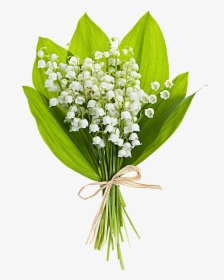 Clip Art Lily Of The Valley Bouquet - Happy Birthday Flowers Lily Of The Valley, HD Png Download, Free Download