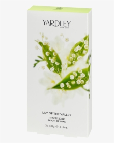 Lily Of The Valley Yardley, HD Png Download, Free Download