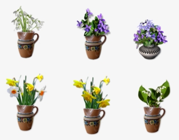 Snowdrop, Violet, Spring, Daffodil, Lily Of The Valley - Flowerpot, HD Png Download, Free Download