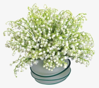 Transparent Lily Of The Valley Png - Ландыши Фото, Png Download, Free Download
