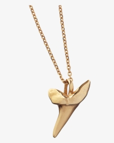 Shark Pendant Sm New Web - Shark Tooth Pendant Gold, HD Png Download, Free Download