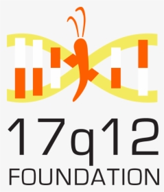 17q12 Foundation, HD Png Download, Free Download
