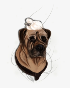 Bullmastiff Png, Transparent Png, Free Download