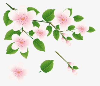 Flower Tree Clip Art, HD Png Download, Free Download