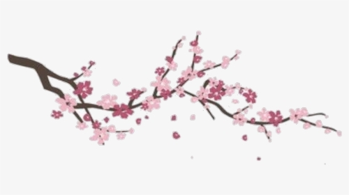 #flower #branch - Cherry Blossom, HD Png Download, Free Download