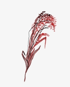 Black Red Flower Branch Transparent Decorative , Png - Illustration, Png Download, Free Download