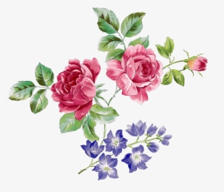 Red Rose Branch And Purple Flower Branch Transparent - Flower Illustration Color, HD Png Download, Free Download