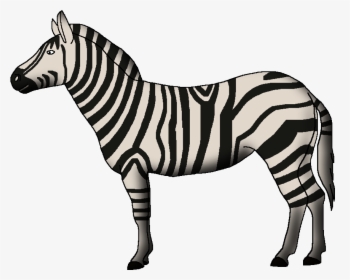 Wildlife Animal Pedia Wiki - Zebra, HD Png Download, Free Download