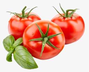 Tomato Png, Transparent Png, Free Download