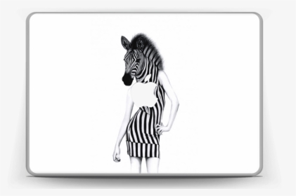 Transparent Zebra Cartoon Png - Cartoon, Png Download, Free Download